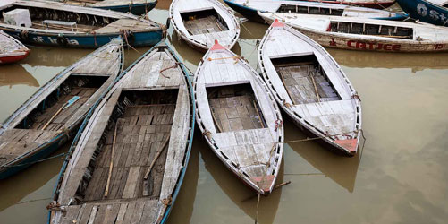 Boar Ride Ganga in Varanasi