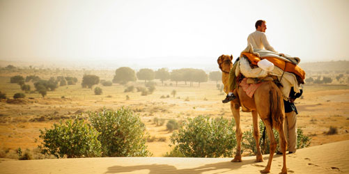 Jaisalmer Camel Safari